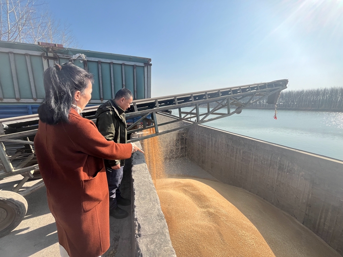 “黨建領(lǐng)航，守護糧安”淮糧集團開展特色品牌黨建活動